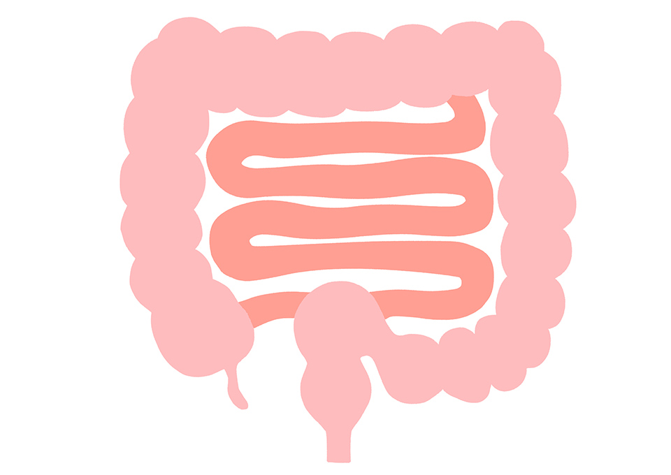大腸カメラ検査でわかる病気の例