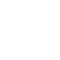 上部消化管内視鏡検査（胃カメラ）